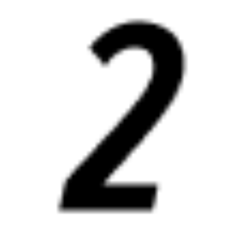 Ikona 2